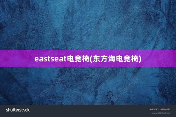 eastseat电竞椅(东方海电竞椅)