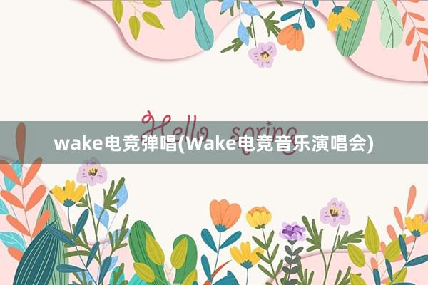 wake电竞弹唱(Wake电竞音乐演唱会)