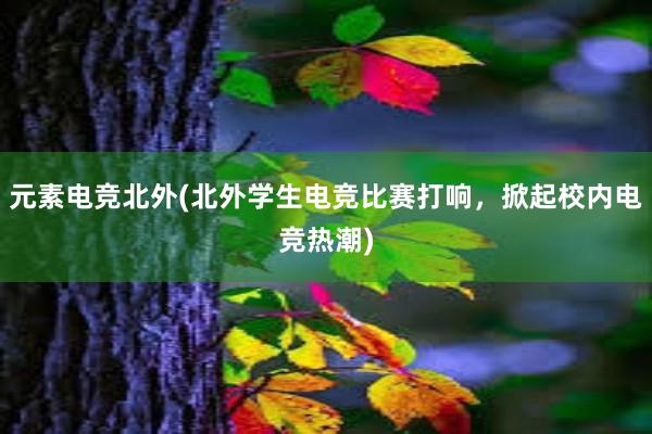 元素电竞北外(北外学生电竞比赛打响，掀起校内电竞热潮)