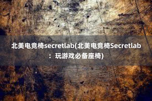 北美电竞椅secretlab(北美电竞椅Secretlab：玩游戏必备座椅)