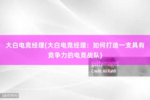 大白电竞经理(大白电竞经理：如何打造一支具有竞争力的电竞战队)