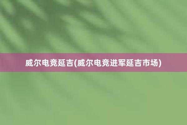 威尔电竞延吉(威尔电竞进军延吉市场)