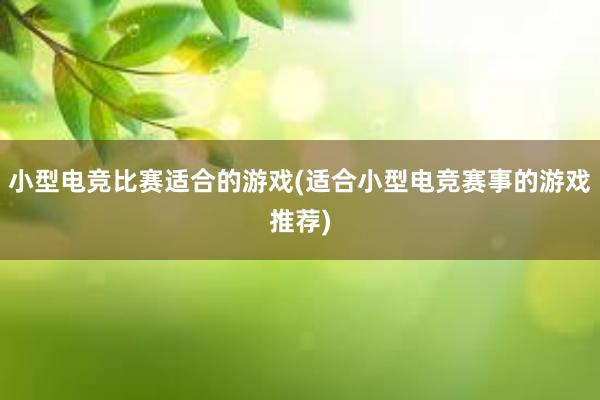 小型电竞比赛适合的游戏(适合小型电竞赛事的游戏推荐)