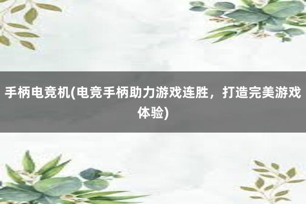 手柄电竞机(电竞手柄助力游戏连胜，打造完美游戏体验)