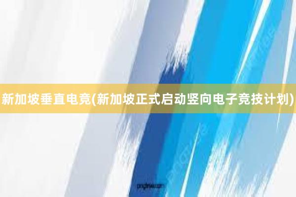 新加坡垂直电竞(新加坡正式启动竖向电子竞技计划)