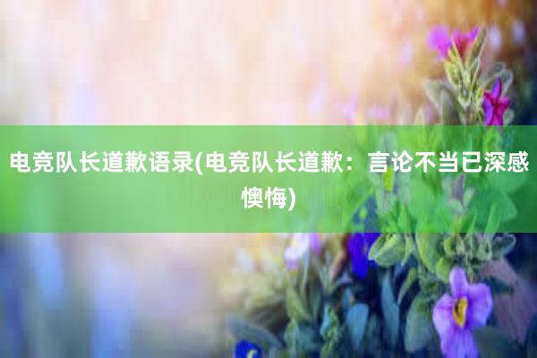 电竞队长道歉语录(电竞队长道歉：言论不当已深感懊悔)