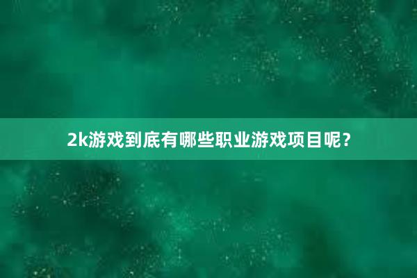 2k游戏到底有哪些职业游戏项目呢？