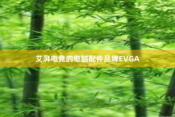 艾湃电竞的电脑配件品牌EVGA