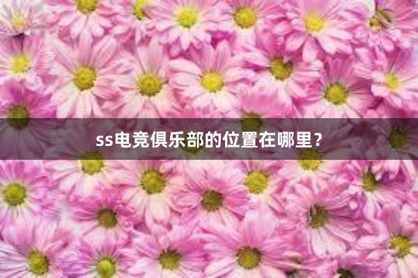 ss电竞俱乐部的位置在哪里？