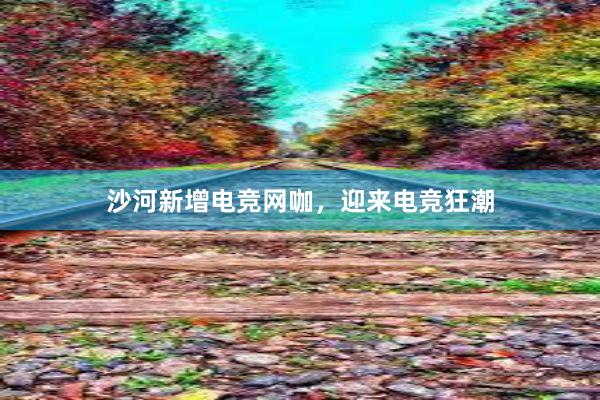 沙河新增电竞网咖，迎来电竞狂潮