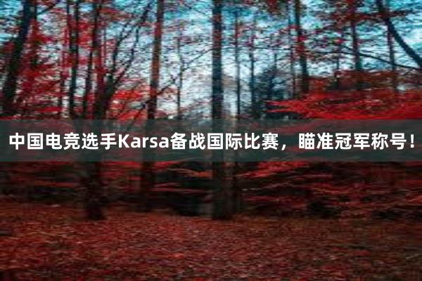 中国电竞选手Karsa备战国际比赛，瞄准冠军称号！