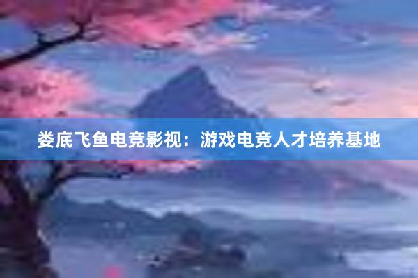 娄底飞鱼电竞影视：游戏电竞人才培养基地