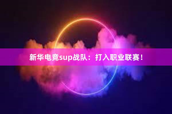 新华电竞sup战队：打入职业联赛！