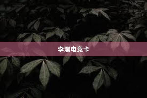 李瑞电竞卡