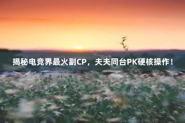 揭秘电竞界最火副CP，夫夫同台PK硬核操作！