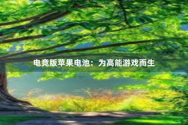 电竞版苹果电池：为高能游戏而生