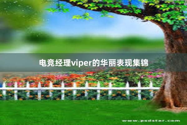 电竞经理viper的华丽表现集锦