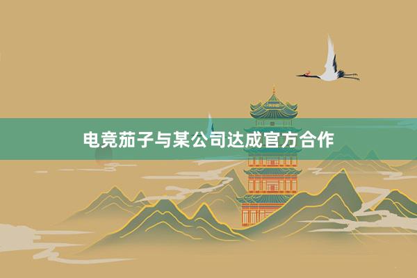 电竞茄子与某公司达成官方合作