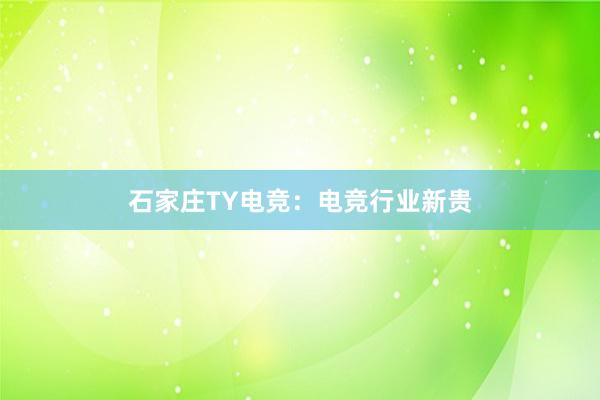 石家庄TY电竞：电竞行业新贵